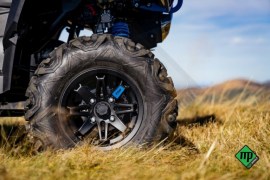 MAR01785-Edit_2-768x512