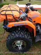 photo_162638603780074